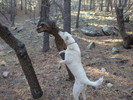 photo thumbnail #4