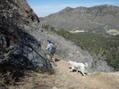 photo thumbnail #9