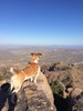 photo thumbnail #8