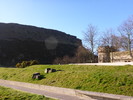 photo thumbnail #9