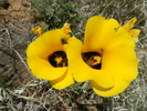 photo thumbnail #10
