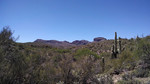 photo thumbnail #9
