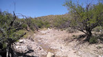 photo thumbnail #10