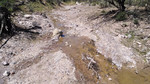 photo thumbnail #12