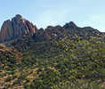 photo thumbnail #6