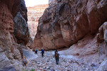 photo thumbnail #8