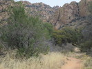 photo thumbnail #4