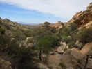 photo thumbnail #8