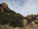 photo thumbnail #10