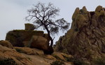 photo thumbnail #15