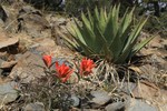 photo thumbnail #9
