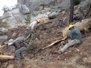 photo thumbnail #3