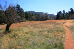 photo thumbnail #6