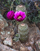 photo thumbnail #11