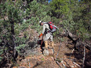 photo thumbnail #5