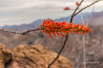 photo thumbnail #3