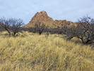 photo thumbnail #2