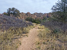 photo thumbnail #3