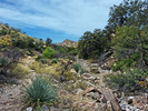 photo thumbnail #5