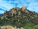 photo thumbnail #7