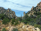 photo thumbnail #8