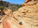 photo thumbnail #1