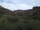 photo thumbnail #2