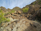 photo thumbnail #1