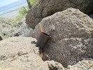 photo thumbnail #3