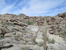 photo thumbnail #8