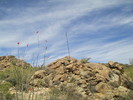 photo thumbnail #11