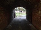 photo thumbnail #13