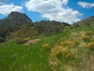 photo thumbnail #6