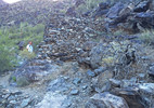 photo thumbnail #1