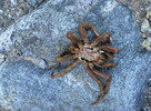 photo thumbnail #5