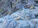 photo thumbnail #7