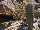 photo thumbnail #15