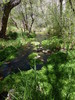 photo thumbnail #8