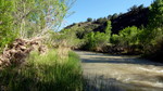 photo thumbnail #2