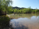 photo thumbnail #3