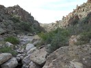 photo thumbnail #8