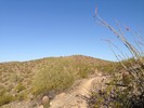 photo thumbnail #3
