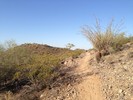 photo thumbnail #2
