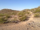 photo thumbnail #1