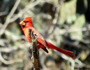 photo thumbnail #4