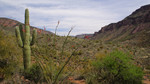 photo thumbnail #3