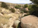 photo thumbnail #7