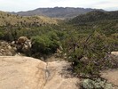 photo thumbnail #12