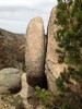 photo thumbnail #15