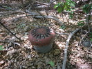 photo thumbnail #11
